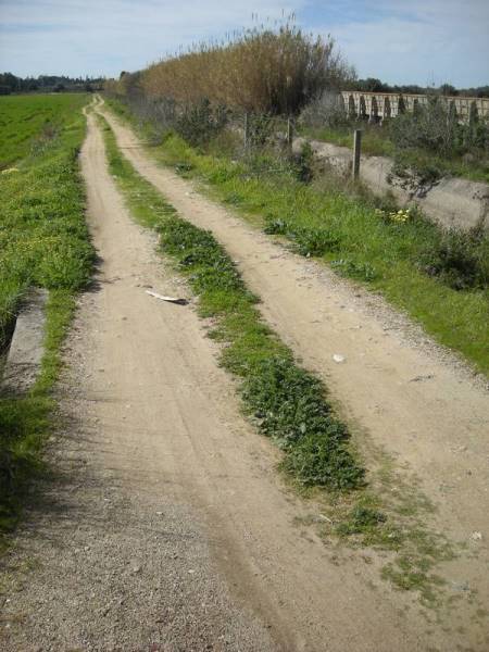 Strada di campagna