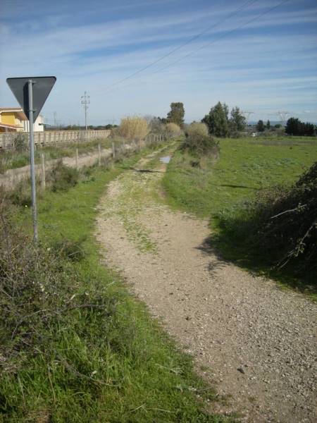 Strada di campagna