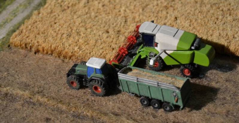 Scale e scalette