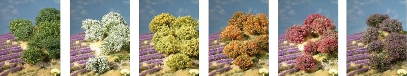 Vegetazione ligure