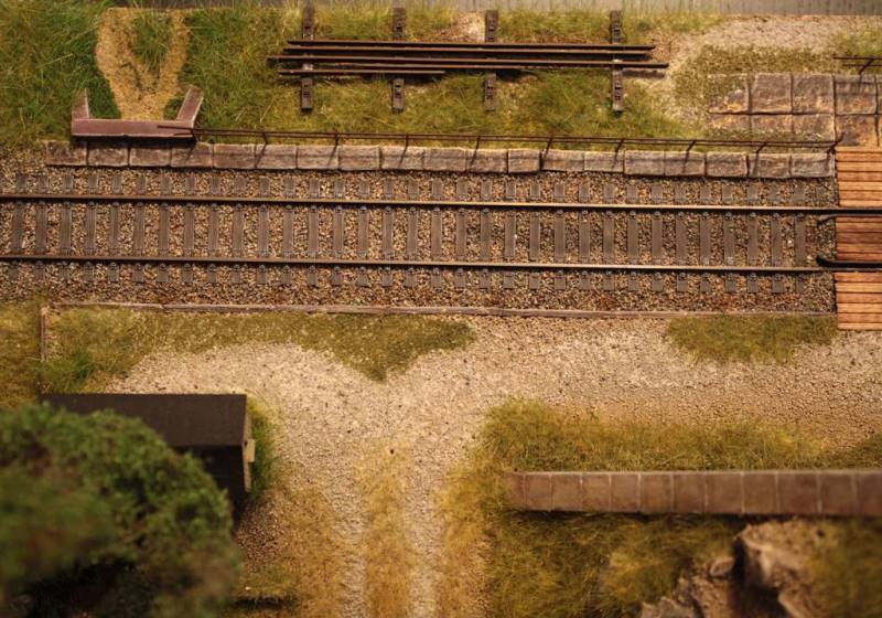 Birkenwald
