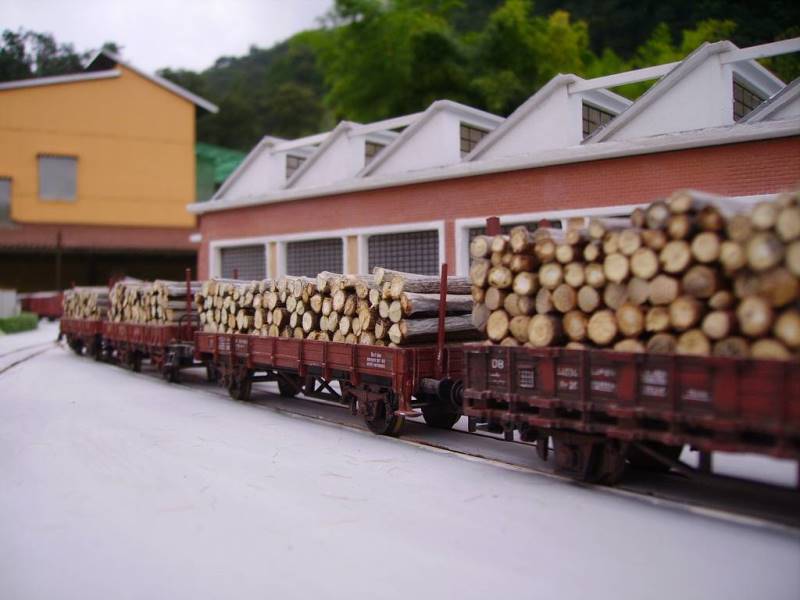 La cartiera