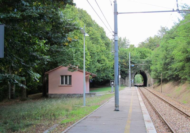 Castagno