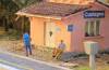 GAS TT - Castagno