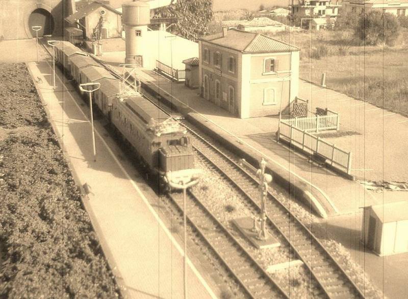 Aquile