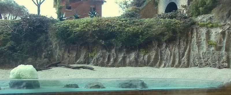 Diorama costiero