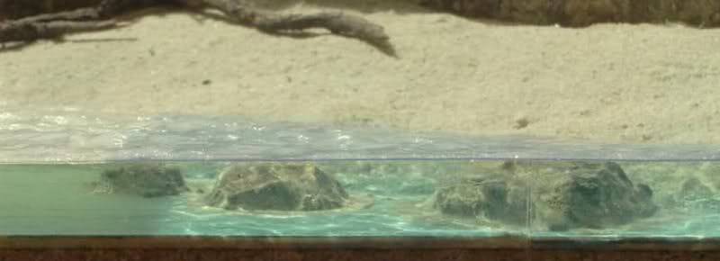 Diorama costiero