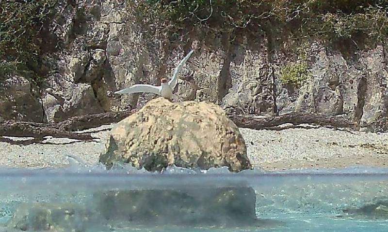Diorama costiero