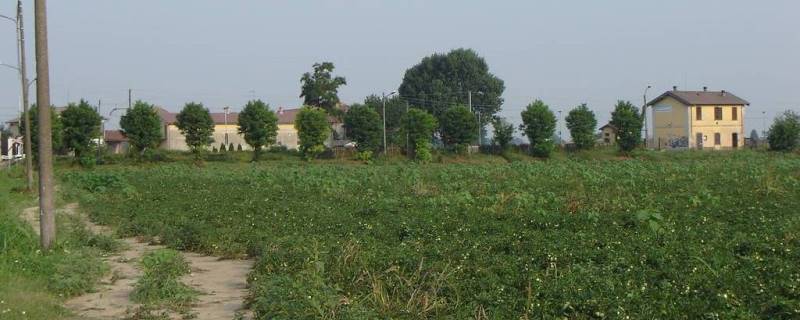 San Giuliano Piacentino
