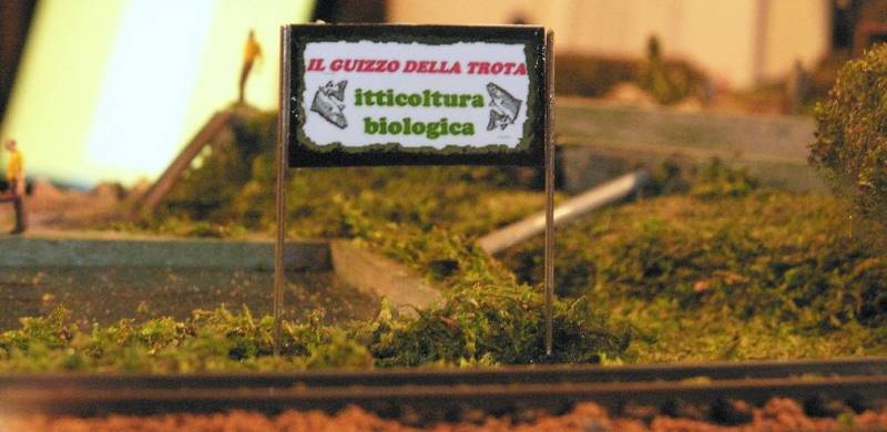 Il guizzo della trota