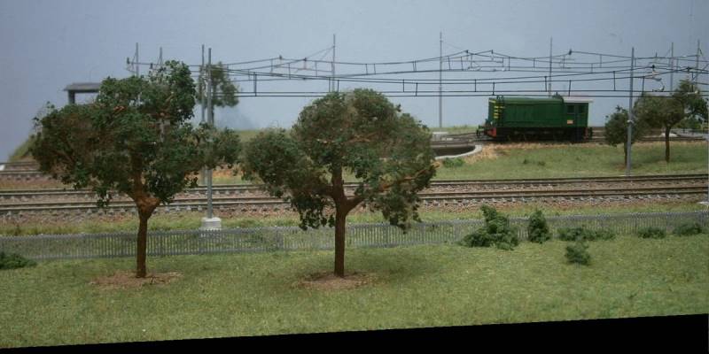 Loco FS in manovra