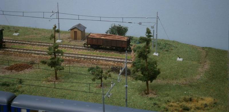 Loco FS in manovra