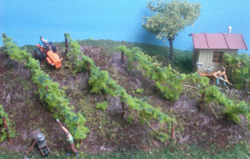 FSV Ferrovie Satronno – Vadese