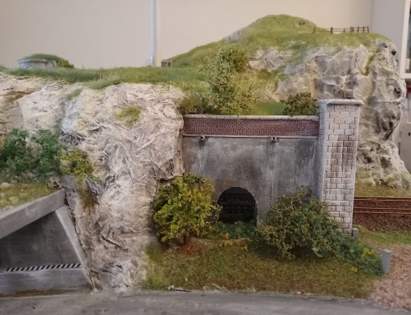 Rifiniture del terreno e della vegetazione