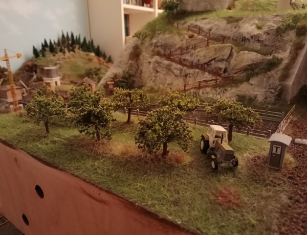 Rifiniture del terreno e della vegetazione