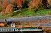 GAS TT - Rocca Salice