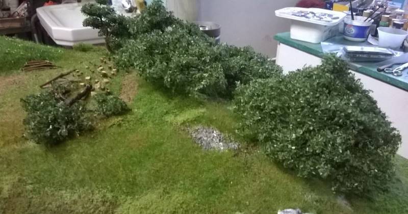 Posa vegetazione