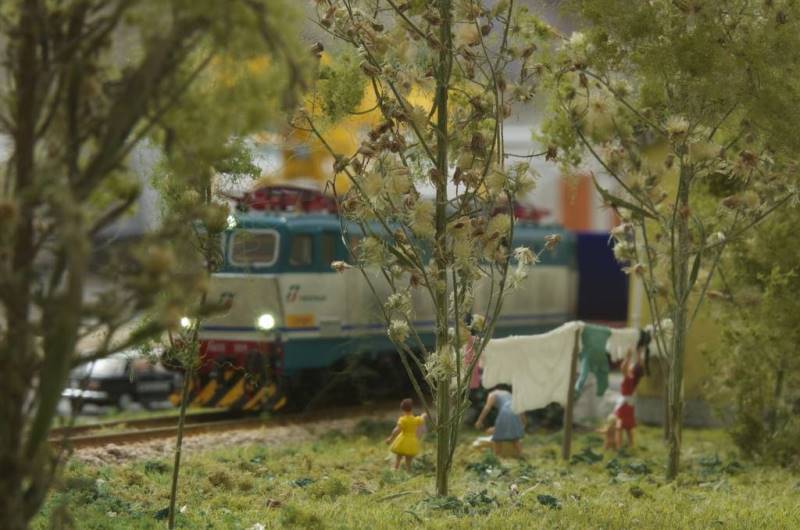 Treni in casa
