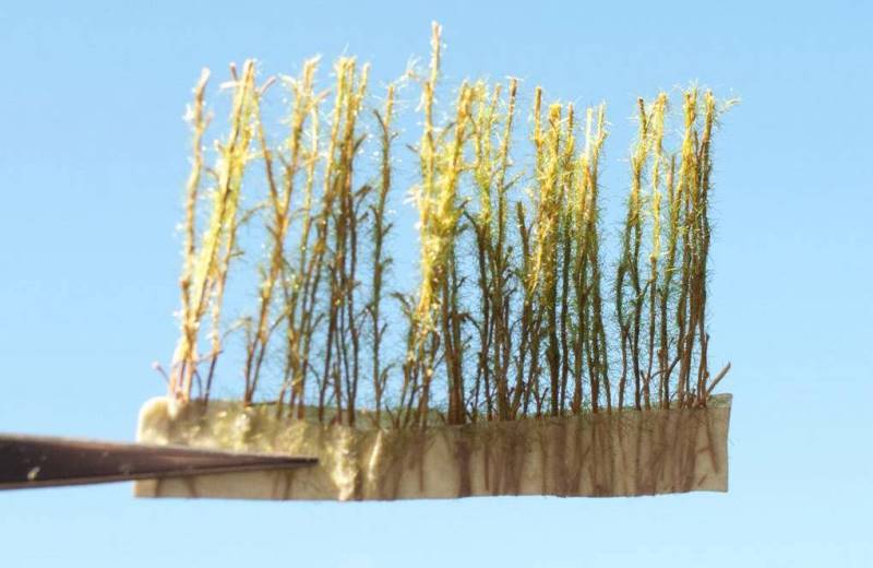 Granturco