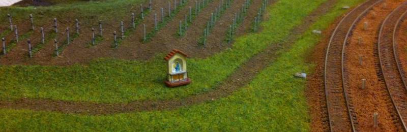 Vigneti di San Martino
