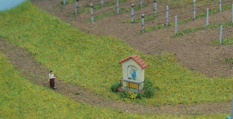Vigneti di San Martino