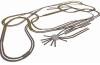 GAS TT - H0 idea 01 - Roco Line senza massicciata (cod. 83) - 550 x 260 cm