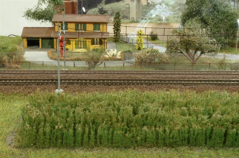 Mostra di Modellismo - Bereguardo 2015