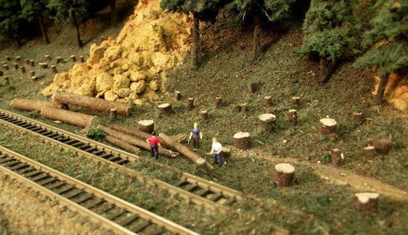 American Railroads in the 1950s