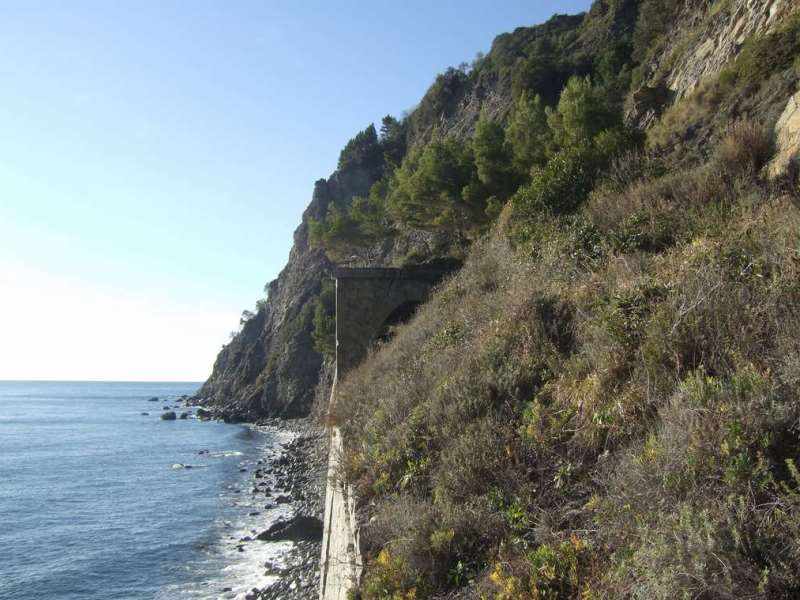 Il sale sui binari