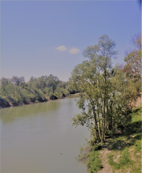 Torino - Acqui Terme