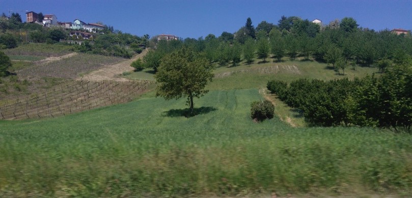 Torino - Acqui Terme