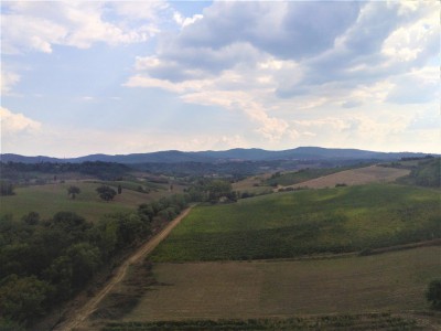 Paesaggio nei pressi di Laterina (AR), linea Direttissima Firenze-Roma.