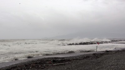 mare2.jpg
