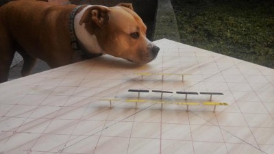 IMG_20181012_174829.jpg (76.17 KiB) Visto 6874 volte proporzioni con un cane di media/grossa taglia