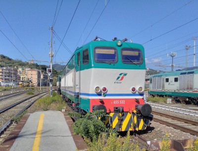 Locomotiva elettrica E 655.532. La locomotiva è stata costruita come E 656 nel 1985 (Ansaldo), poi trasformata in E 655 con riduzione del rapporto di trasmissione (da 28/61 a 23/66) per servizio merci nel 2003. La locomotiva fa parte della 5° serie con due convertitori statici ARSA al posto dei tradizionali motoalternatori.