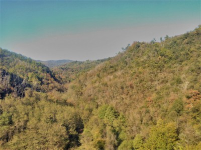 Boschi di latifoglie nella colorazione del primo autunno