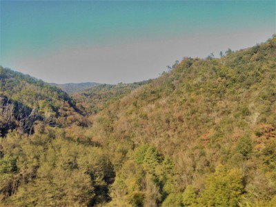 Boschi di latifoglie nella colorazione del primo autunno