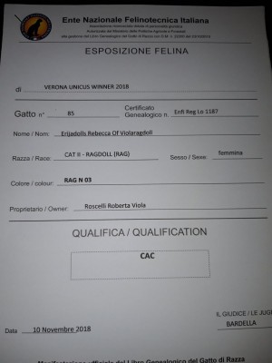 20181112_173512.jpg