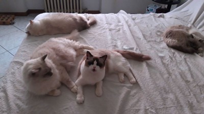 IMG-20181024-WA0010.jpeg