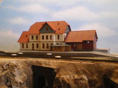 IMGP0203.JPG