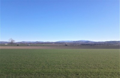 Paesaggio lungo la ferrovia Milano - Genova nei pressi di Casteggio (PV). Sullo sfondo le colline dell' Oltrepò Pavese.