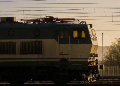 Una simbolica...un caimano al tramonto, che testimonia la fine ormai imminente di questo gruppo di locomotori. Una particolarità è che il caimano in foto è il 656.570, ultimo ad essere stato revisionato