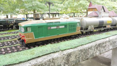 d343.jpg