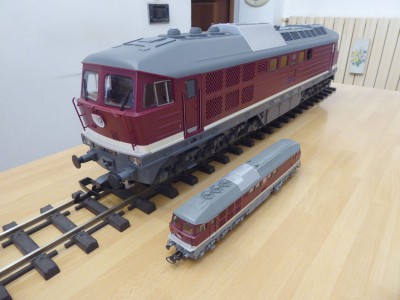 P1010631.jpg