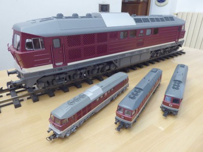 P1010641.jpg