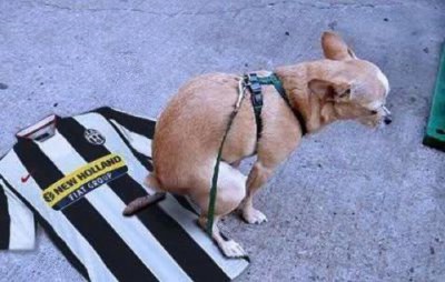 juve4.jpg