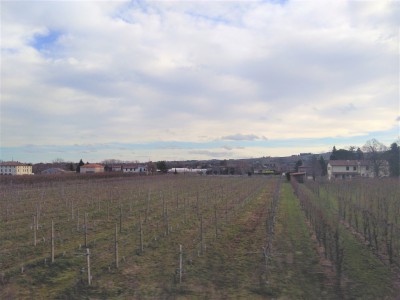 Panorama nei pressi di Brisighella