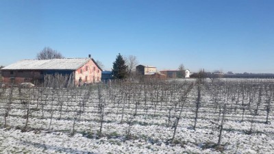 Panorama invernale nei pressi di Soliera (MO)