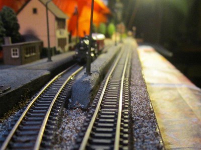 IMG_5626_800x600.JPG