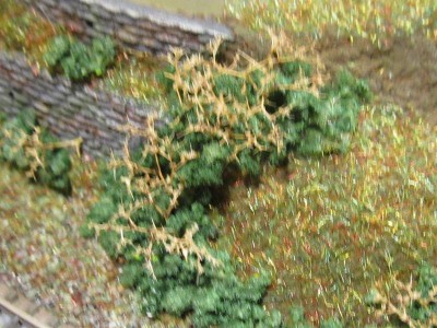 IMG_5752_800x600.JPG